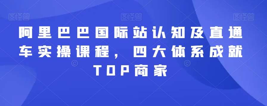 阿里巴巴国际站认知及直通车实操课程，四大体系成就TOP商家-云笙网创