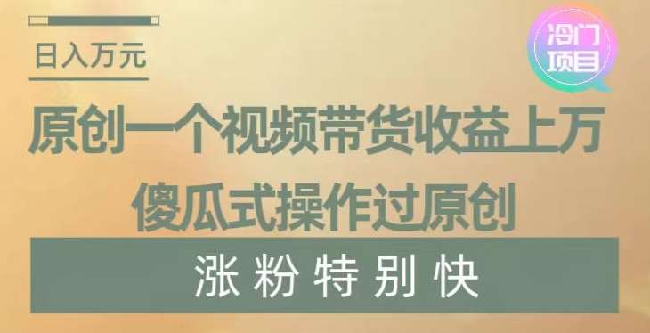 原创一个视频带货收益上万，傻瓜式操作过原创，几分钟做一个视频涨粉特别快【揭秘】-云笙网创