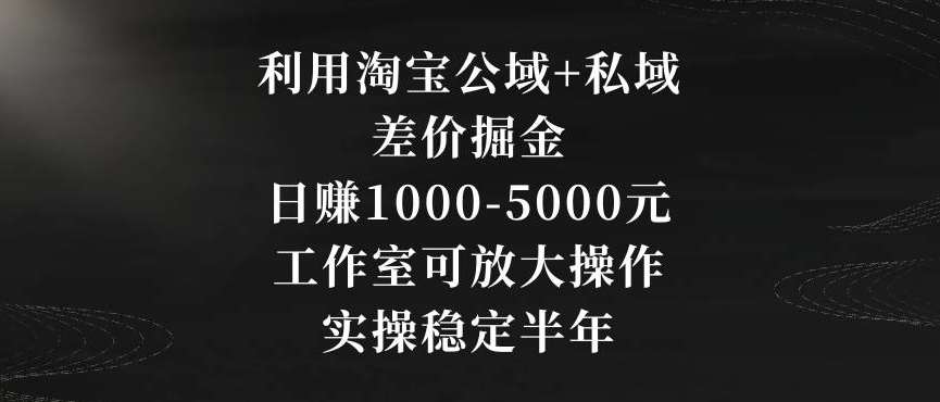 利用淘宝公域+私域差价掘金，日赚1000-5000元，工作室可放大操作，实操稳定半年【揭秘】-云笙网创