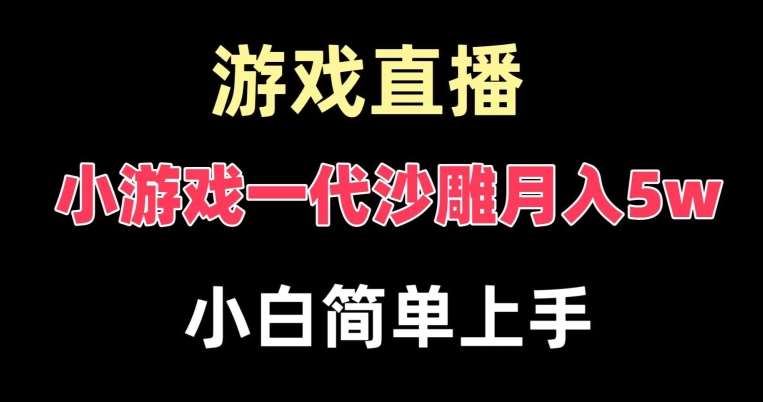 玩小游戏一代沙雕月入5w，爆裂变现，快速拿结果，高级保姆式教学【揭秘】-云笙网创