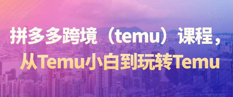 拼多多跨境（temu）课程，从Temu小白到玩转Temu-云笙网创