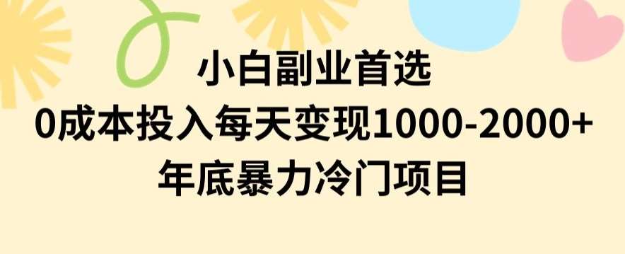 小白副业首选，0成本投入，每天变现1000-2000年底暴力冷门项目【揭秘】-云笙网创