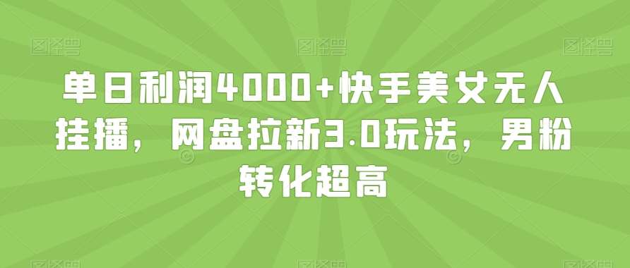 单日利润4000+快手美女无人挂播，网盘拉新3.0玩法，男粉转化超高【揭秘】-云笙网创