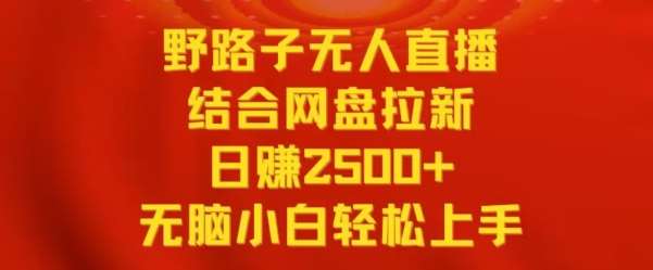 野路子无人直播结合网盘拉新，日赚2500+，小白无脑轻松上手【揭秘】-云笙网创