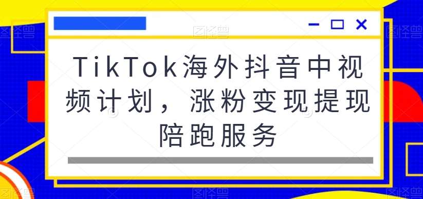 TikTok海外抖音中视频计划，涨粉变现提现陪跑服务-云笙网创