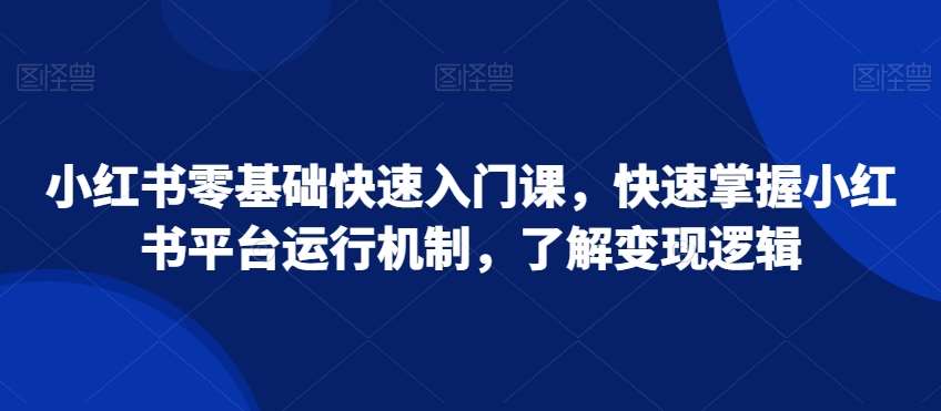 小红书零基础快速入门课，快速掌握小红书平台运行机制，了解变现逻辑-云笙网创