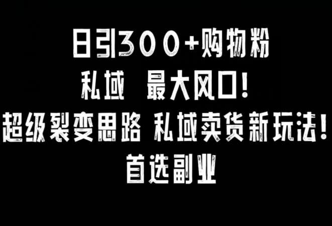 日引300+购物粉，超级裂变思路，私域卖货新玩法，小红书首选副业【揭秘】-云笙网创