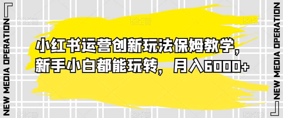 小红书运营创新玩法保姆教学，新手小白都能玩转，月入6000+【揭秘】-云笙网创