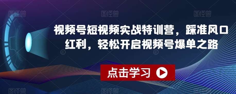 视频号短视频实战特训营，踩准风口红利，轻松开启视频号爆单之路-云笙网创