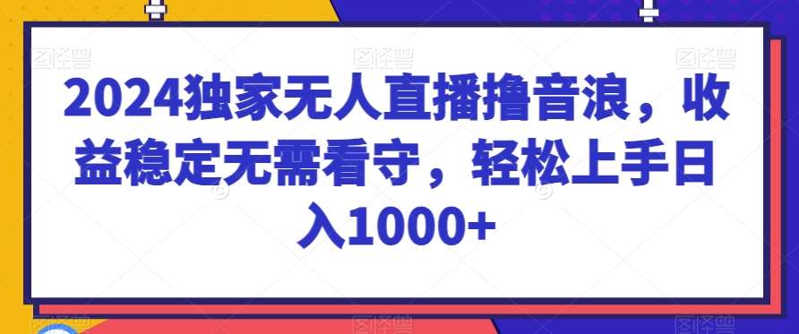 2024独家无人直播撸音浪，收益稳定无需看守，轻松上手日入1000+【揭秘】-云笙网创