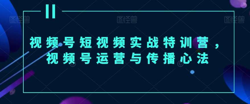 视频号短视频实战特训营，视频号运营与传播心法-云笙网创