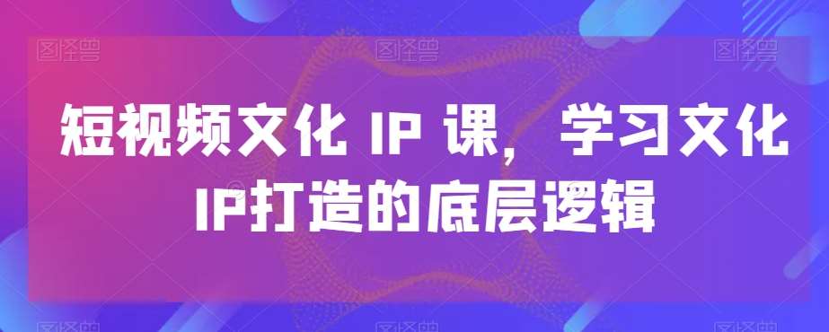 短视频文化IP课，学习文化IP打造的底层逻辑-云笙网创