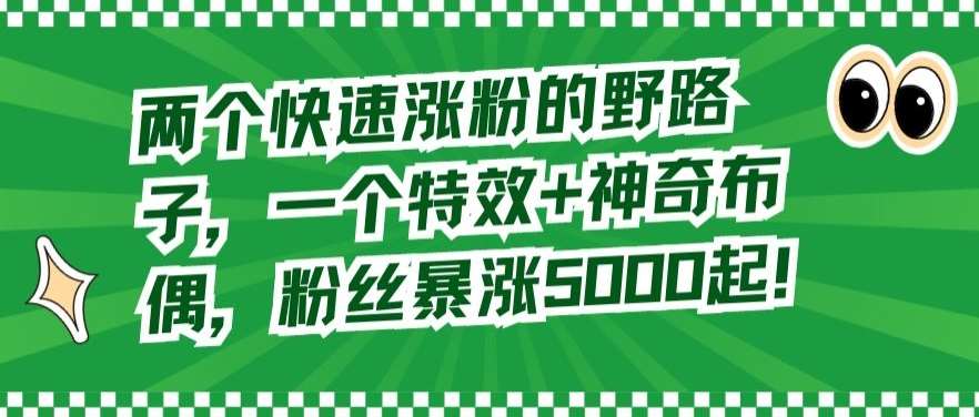 两个快速涨粉的野路子，一个特效+神奇布偶，粉丝暴涨5000起【揭秘】-云笙网创