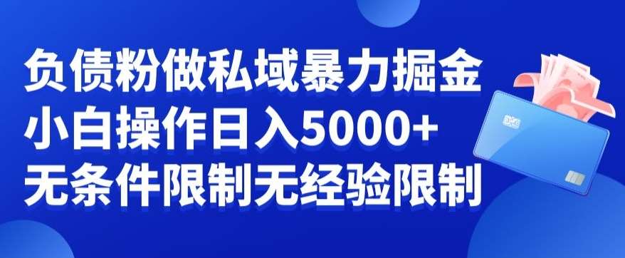 负债粉私域暴力掘金，小白操作入5000，无经验限制，无条件限制【揭秘】-云笙网创