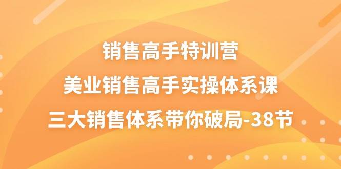 销售高手特训营，美业销售高手实操体系课，三大销售体系带你破局（38节）-云笙网创