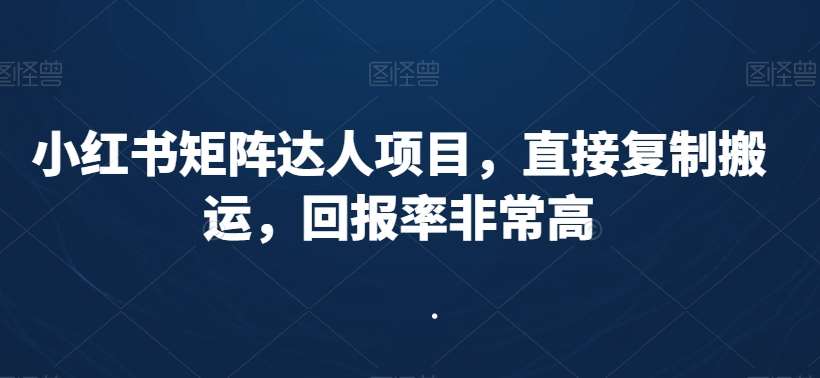 小红书矩阵达人项目，直接复制搬运，回报率非常高-云笙网创