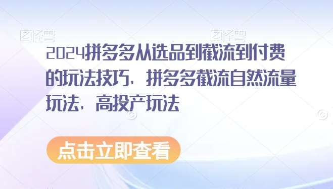 2024拼多多从选品到截流到付费的玩法技巧，拼多多截流自然流量玩法，高投产玩法-云笙网创