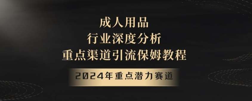 2024年重点潜力赛道，成人用品行业深度分析，重点渠道引流保姆教程【揭秘】-云笙网创