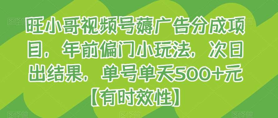 旺小哥视频号薅广告分成项目，年前偏门小玩法，次日出结果，单号单天500+元【有时效性】-云笙网创