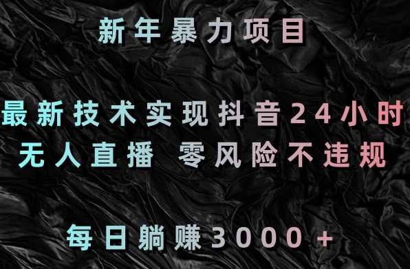 新年暴力项目，最新技术实现抖音24小时无人直播，零风险不违规，每日躺赚3000＋【揭秘】-云笙网创