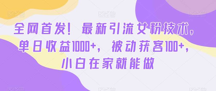 全网首发！最新引流女粉技术，单日收益1000+，被动获客100+，小白在家就能做【揭秘】-云笙网创