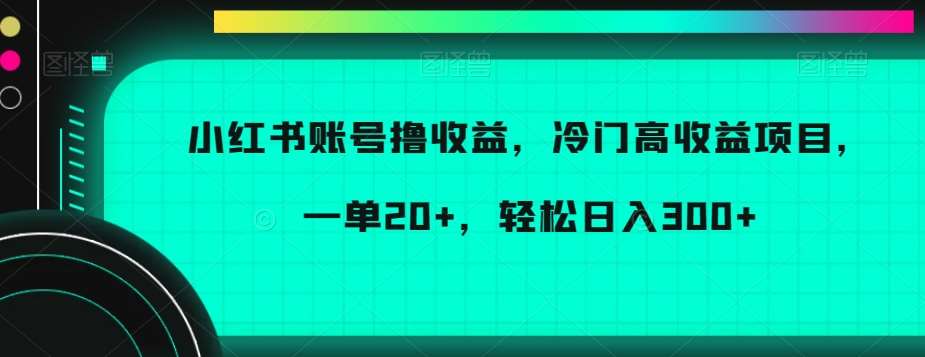 小红书账号撸收益，冷门高收益项目，一单20+，轻松日入300+【揭秘】-云笙网创