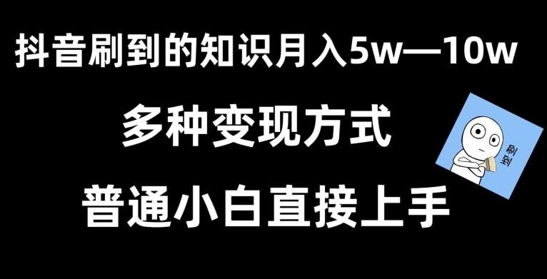 抖音刷到的知识，每天只需2小时，日入2000+，暴力变现，普通小白直接上手【揭秘】-云笙网创