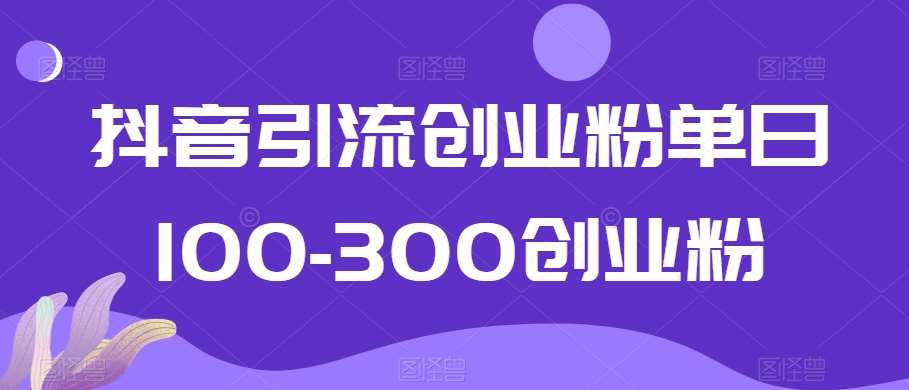 抖音引流创业粉单日100-300创业粉【揭秘】-云笙网创