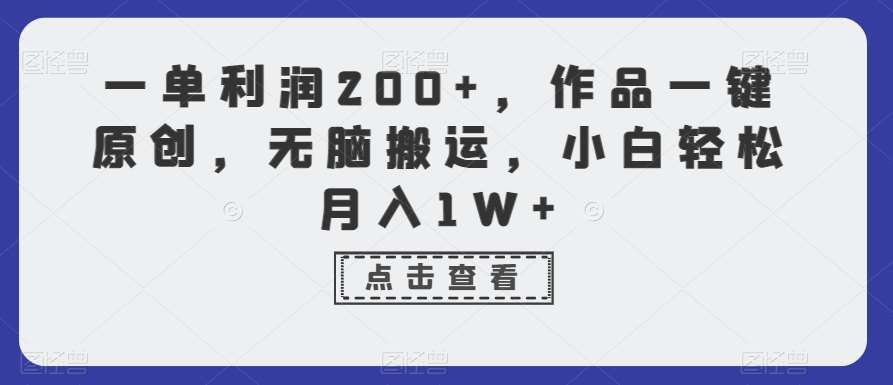 一单利润200+，作品一键原创，无脑搬运，小白轻松月入1W+【揭秘】-云笙网创