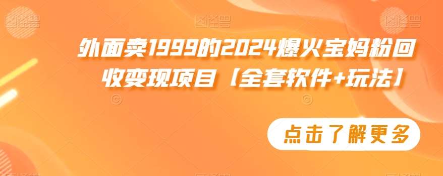 外面卖1999的2024爆火宝妈粉回收变现项目【全套软件+玩法】【揭秘】-云笙网创