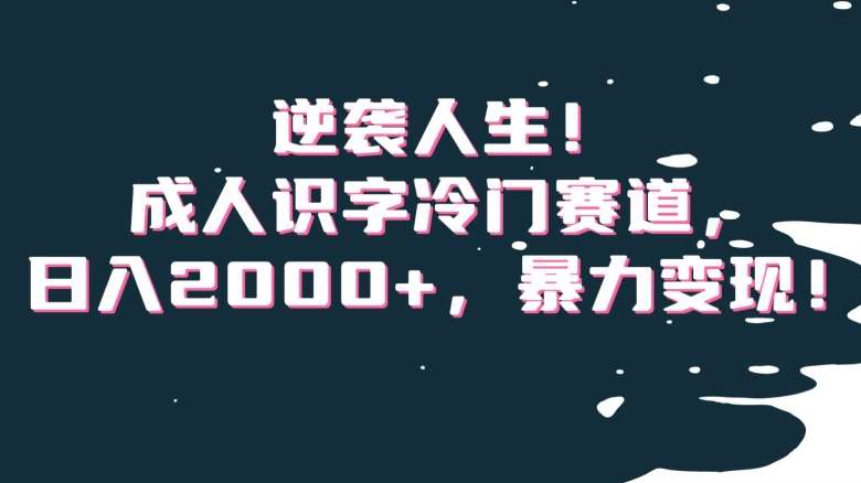 逆袭人生！成人识字冷门赛道，日入2000+，暴力变现！【揭秘】-云笙网创