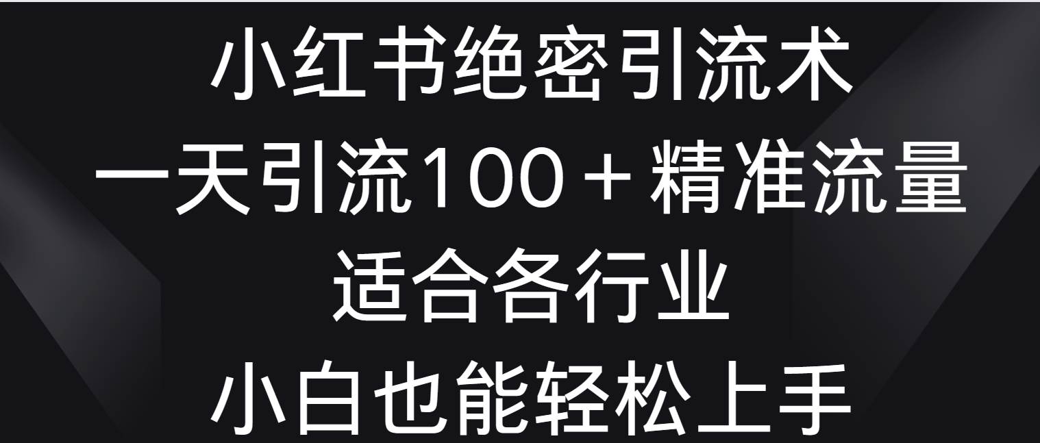 小红书绝密引流术，一天引流100＋精准流量，适合各个行业，小白也能轻松上手-云笙网创