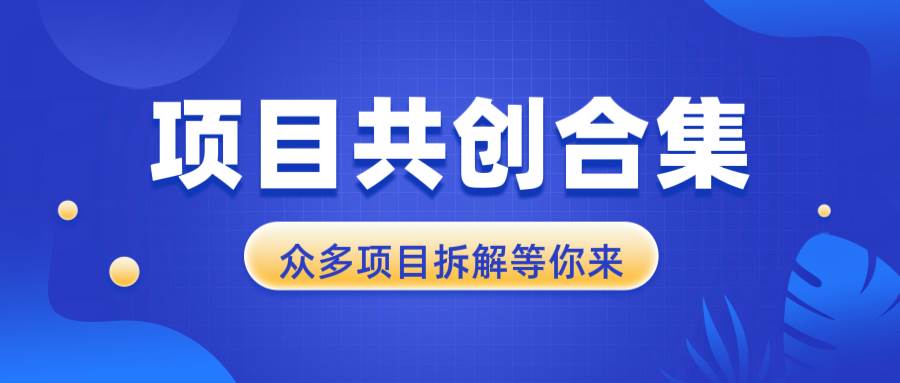 （13778期）项目共创合集，从0-1全过程拆解，让你迅速找到适合自已的项目-云笙网创