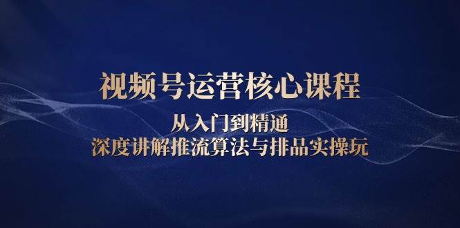 视频号运营核心课程，从入门到精通，深度讲解推流算法与排品实操玩-云笙网创