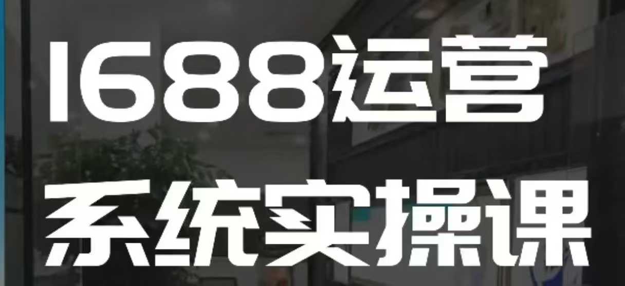 1688高阶运营系统实操课，快速掌握1688店铺运营的核心玩法-云笙网创