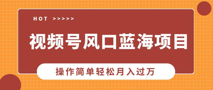 （13945期）视频号风口蓝海项目，中老年人的流量密码，操作简单轻松月入过万-云笙网创