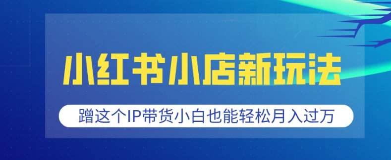 小红书小店新玩法，蹭这个IP带货，小白也能轻松月入过W【揭秘】-云笙网创