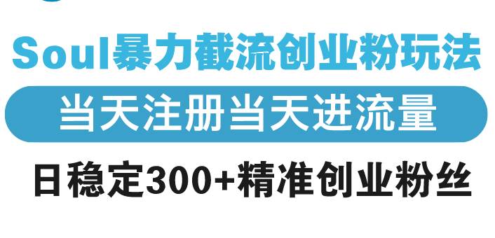 （13935期）Soul暴力截流创业粉玩法，当天注册当天进流量，日稳定300+精准创业粉丝-云笙网创