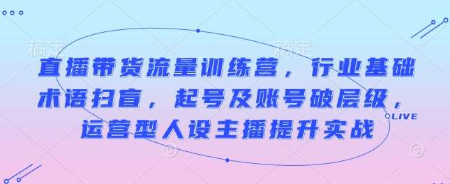 直播带货流量训练营，行业基础术语扫盲，起号及账号破层级，运营型人设主播提升实战-云笙网创