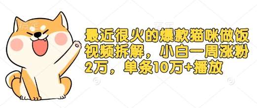 最近很火的爆款猫咪做饭视频拆解，小白一周涨粉2万，单条10万+播放(附保姆级教程)-云笙网创