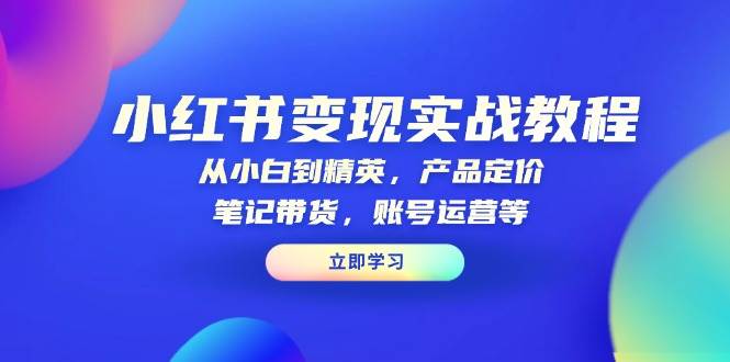 （13923期）小红书变现实战教程：从小白到精英，产品定价，笔记带货，账号运营等-云笙网创