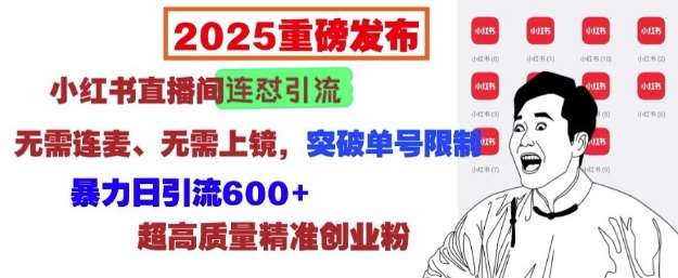 2025重磅发布：小红书直播间连怼引流，无需连麦、无需上镜，突破单号限制，暴力日引流600+-云笙网创