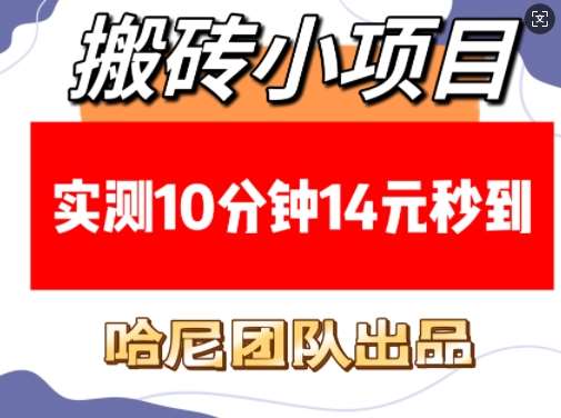 搬砖小项目，实测10分钟14元秒到，每天稳定几张(赠送必看稳定)-云笙网创