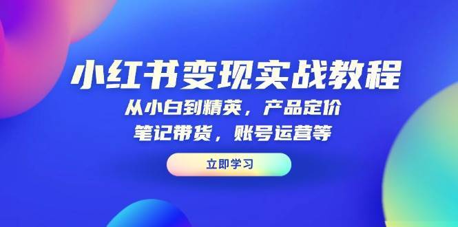 小红书变现实战教程：从小白到精英，产品定价，笔记带货，账号运营等-云笙网创