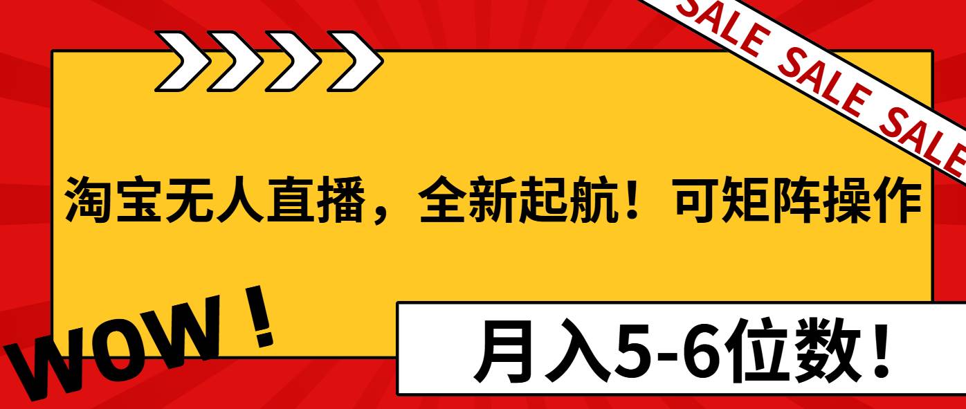 （13946期）淘宝无人直播，全新起航！可矩阵操作，月入5-6位数！-云笙网创